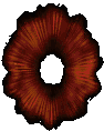 Diablo2_AuraDefiance.gif Diablo2_AuraDefiance.gif