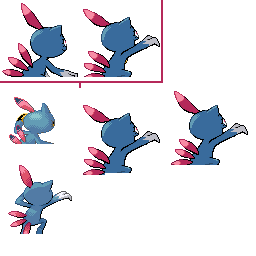 pmpl_215_back_m_r7920.png pmpl_215_back_m_r7920.png