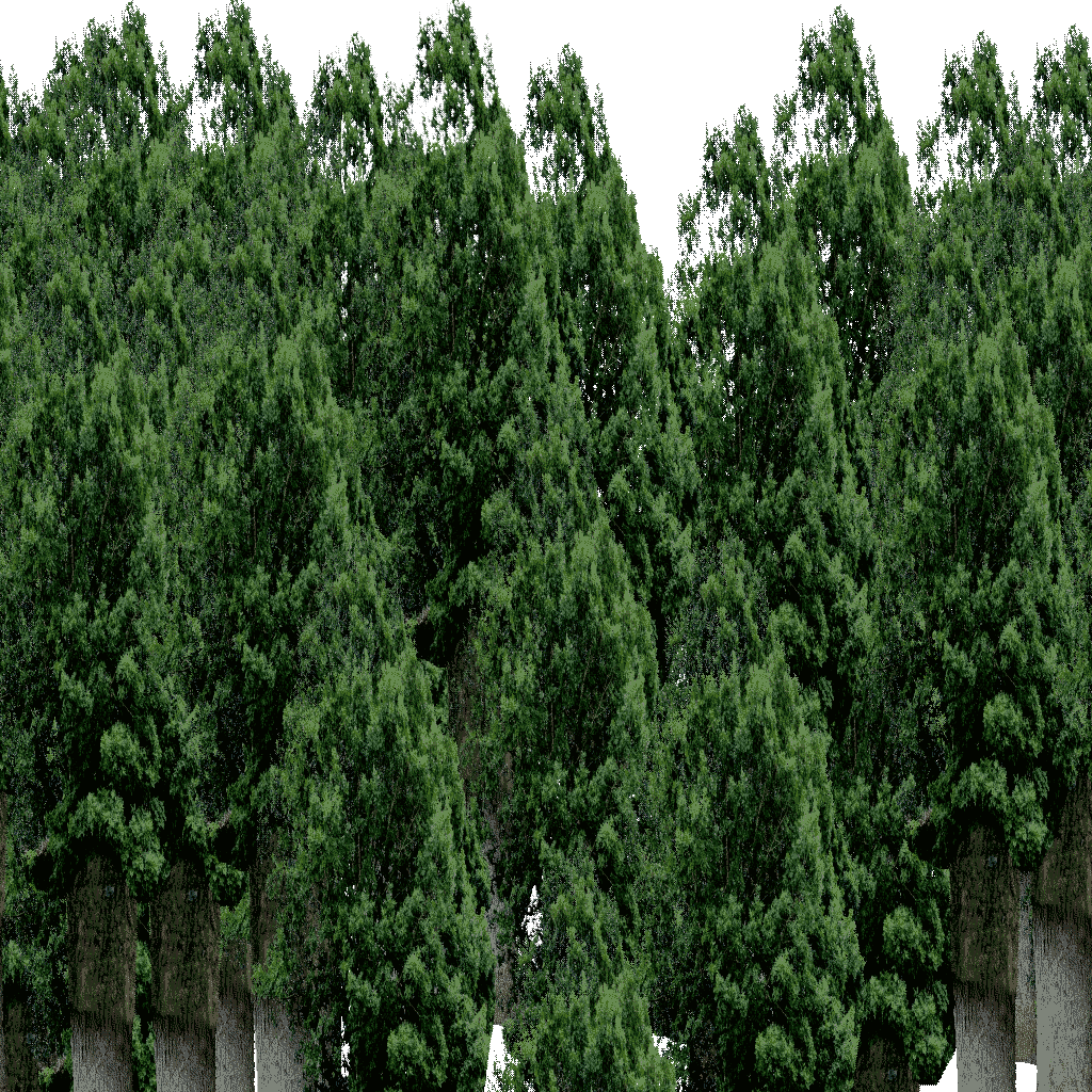A group of trees as the boundary. A group of trees as the boundary.