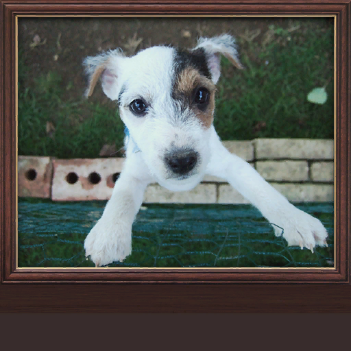 BMS-pictureframe04_skin3.png