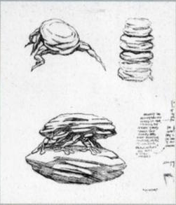 Unknown Creature