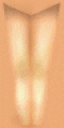 Hls_legs_back1.png Hls_legs_back1.png