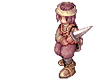 RO-unused-hairanimation-merchant-m-attacking1.gif