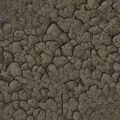 HL2EP2-nature-forest_mud_01.png