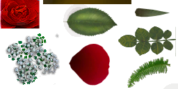 TSLS_daterewardbouquet-flowers-surface0_lifo_256x128.png
