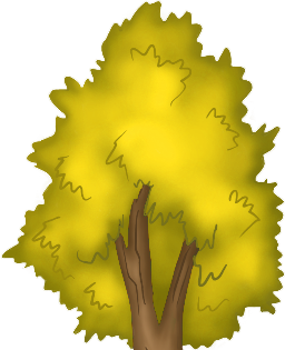 MMtree_big_top.rgba