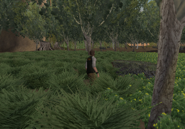 A very dense woodland area not far from spawn. A very dense woodland area not far from spawn.