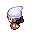 PokeDP_OW_heroine_WalkW_1.1.gif