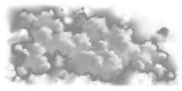 ninobjcloudl