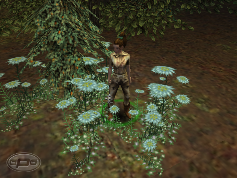 DungeonSiege-Flowers.png DungeonSiege-Flowers.png