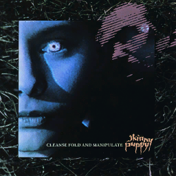 'Anger' by Skinny Puppy. 'Anger' by Skinny Puppy.