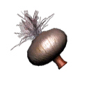 bu_onion bu_onion