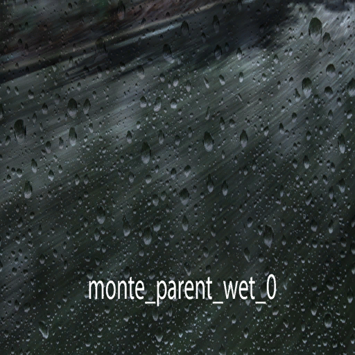 DiRTRally-monte_parent_wet_0.png