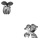 PM2B_191.CBB.w128.png