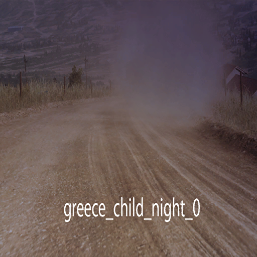 DiRTRally-greece_child_night_0.png