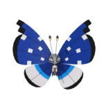 NPS_p034-NA.png