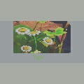 File: L_TU_LV.png Tutorial Preview.