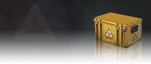 Prisma Case Prisma Case
