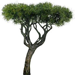 CMR3_Xbox_TEMP_tre_107.png