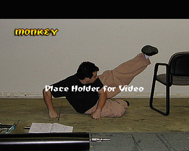Monkey Style Monkey Style