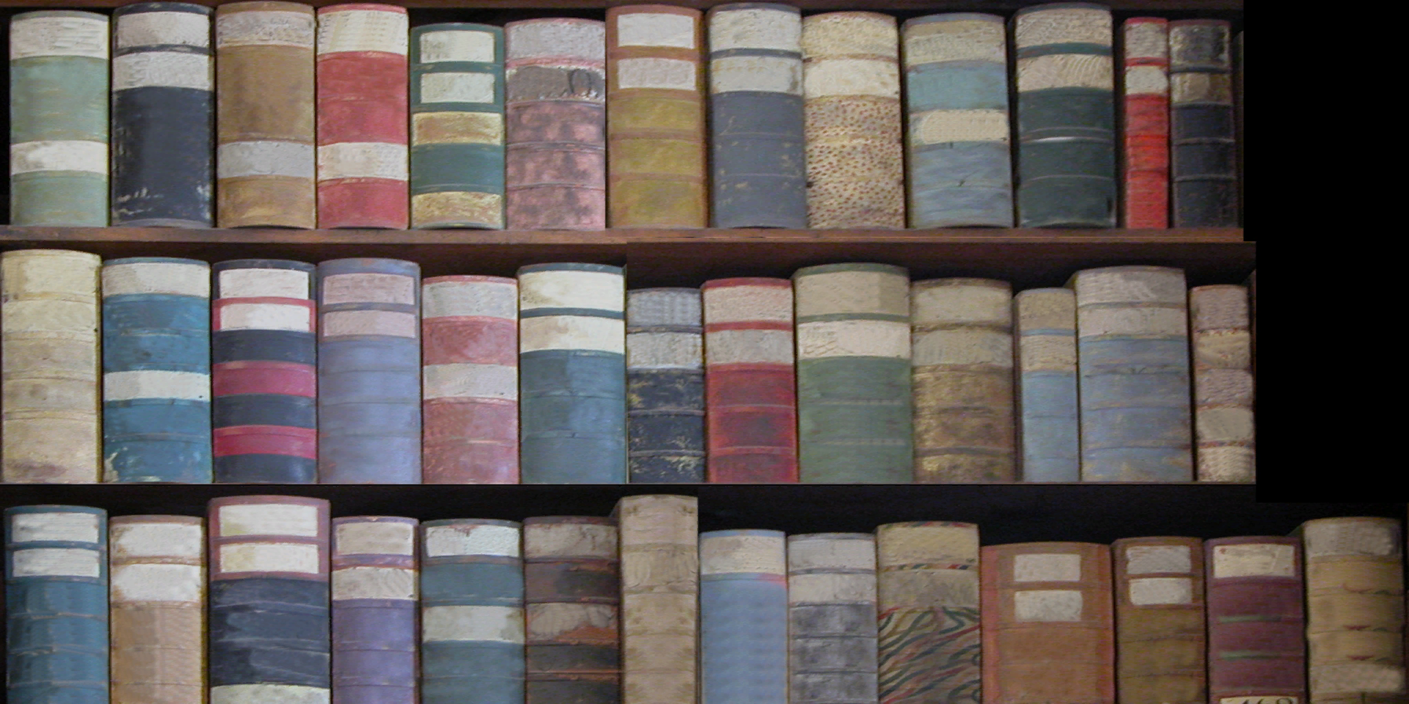 Amanda_1_Final_BookShelf1.png