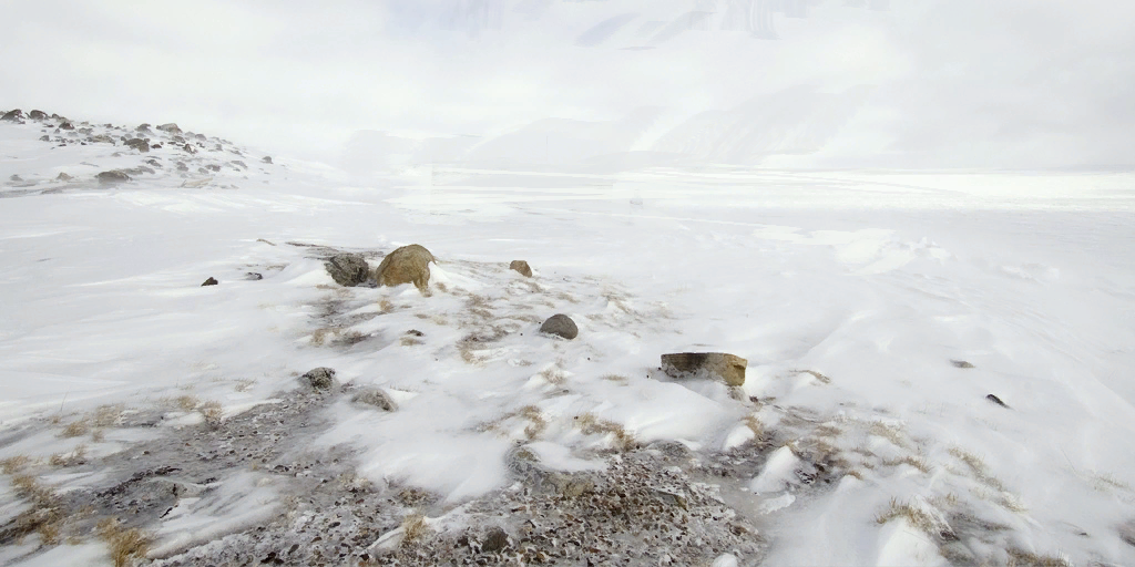 HL2EP2-nature-arctic_card_01.png