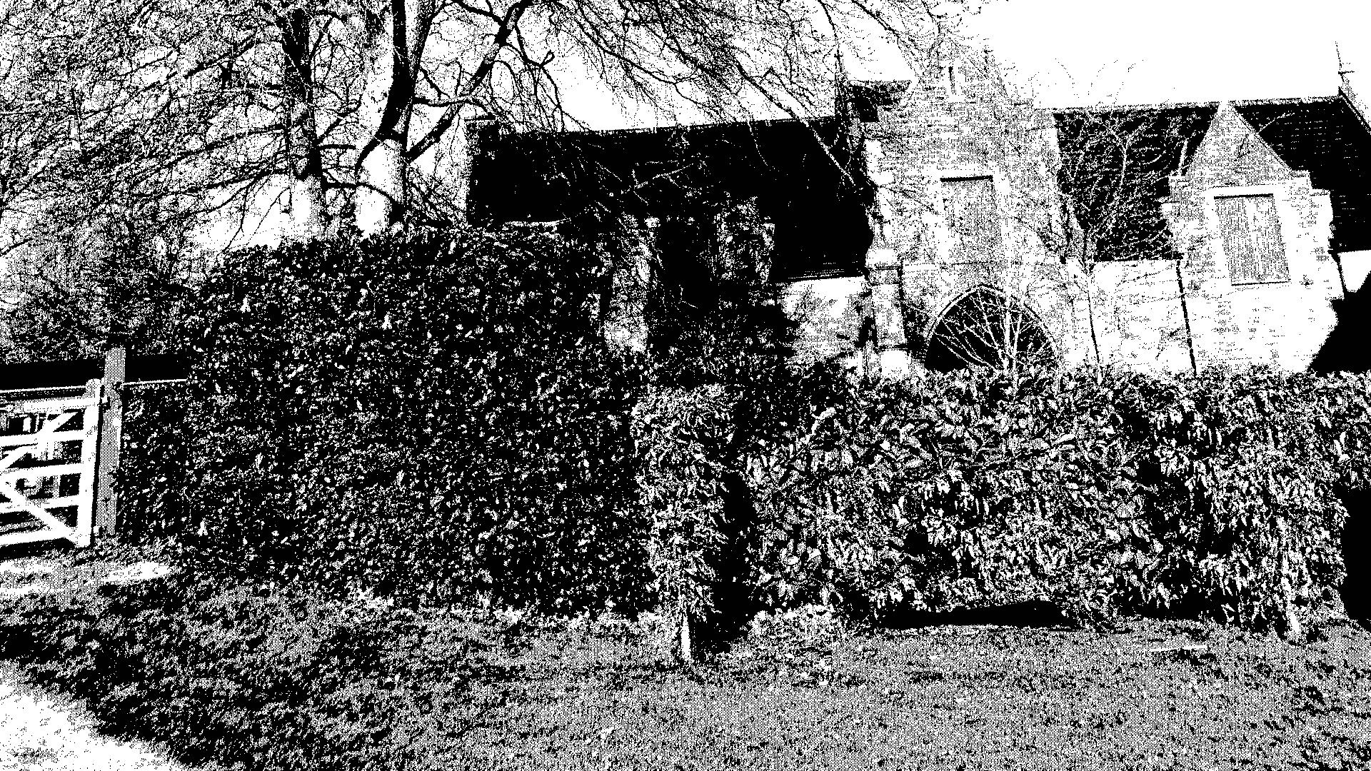 ext_gardenhedge_pan (a variant of the used background ext_gardenhedge)