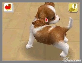 NintendogsFebruary2005Screenshot13.jpg NintendogsFebruary2005Screenshot13.jpg