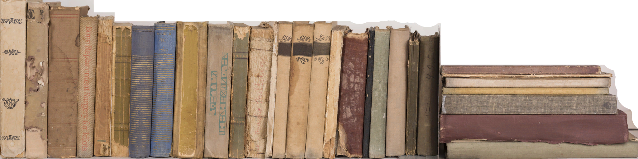 Amanda_1_Final_BookShelf7.png