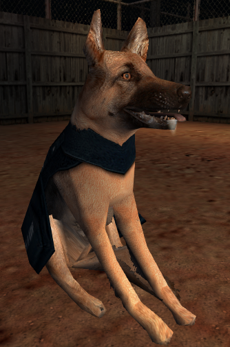 A friendly K-9 Unit. A friendly K-9 Unit.