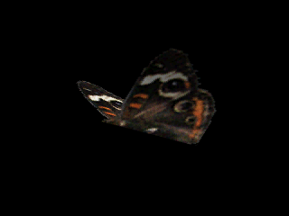 test.avi test.avi
