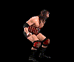 wwfwrestarc-A3FD3B.gif