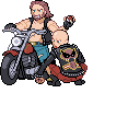 PokeBW_Development_Trainer_Hooligans_r32790.png