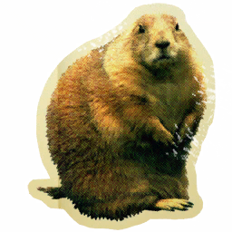 Lbp1_March08_gopher.tex.png