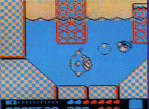 Sonic would go for that big bubble in a heartbeat if he were here.
