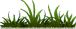 FerazelsWand_Sprites_PICT_2810.png FerazelsWand_Sprites_PICT_2810.png