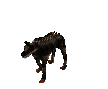 Diablo2_WOlf2.gif