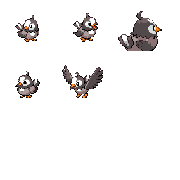 pmpl_429_frnt_m_r4535.png pmpl_429_frnt_m_r4535.png