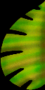 titfeuill2_nz titfeuill2_nz