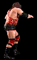 wwfwrestarc-A2MP2B.gif