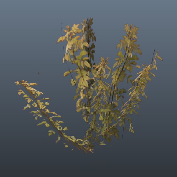 SM_PLANT1 SM_PLANT1
