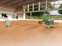 Ds_Nintendogs_ss_09.jpg Ds_Nintendogs_ss_09.jpg