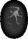 Diablo2_Auragreen.gif Diablo2_Auragreen.gif