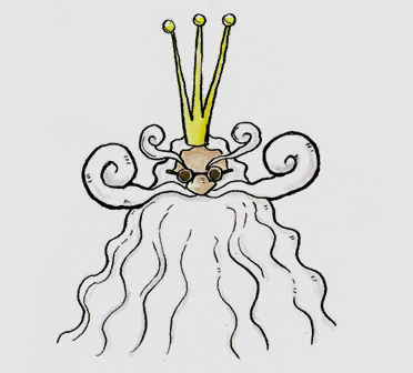 LKS_UMA_B_L_sauvage.png