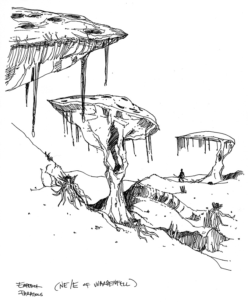 MWCA_EmperorParasols.png