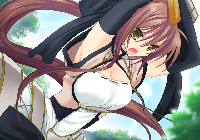 Sengoku_Hime_-_UnusedImage-EV032.png