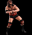 wwfwrestarc-A4SC5B.gif