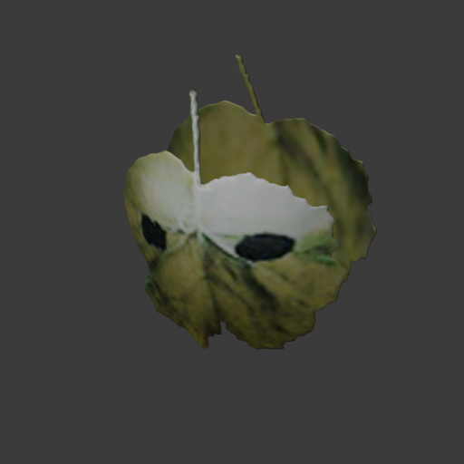 LuminesAriseDemo_avatar_head_render_38.png
