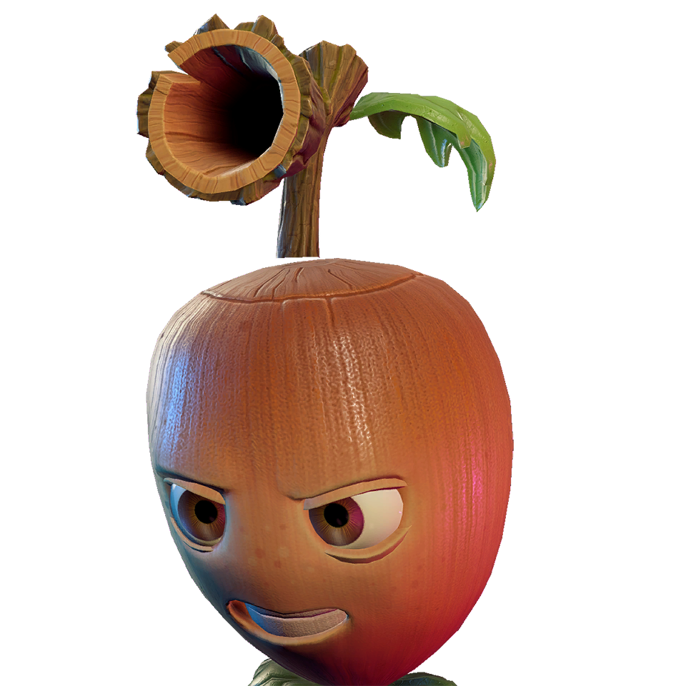 Acorn