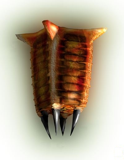 HL_Concept_Barnacle3.png